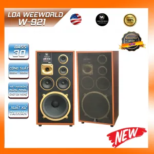 Loa Weeworld W921 Pro