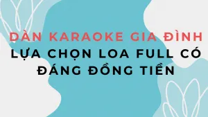 Dàn Karaoke Gia Đình: Sự Lựa Chọn Loa Full Có Đáng Đồng Tiền?