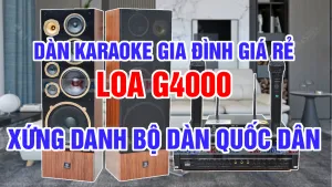Dàn karaoke gia đình giá rẻ xứng danh bộ dàn Quốc dân - Combo loa Weeworld G4000 bán chạy số 1 Việt Nam