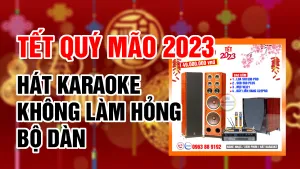Tết Nguyên Đán Quý Mão 2023 hát karaoke như thế nào để không làm hỏng bộ dàn karaoke