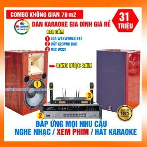 Dàn karaoke Weeworld Loa full B12 và Đẩy X23Pro