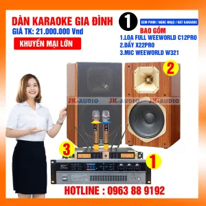 Dàn karaoke loa Weeworld C12 giá 21 triệu