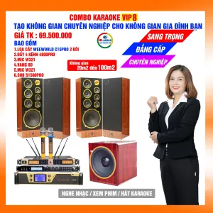 Dàn karaoke gia đình loa C15 Pro giá 69,5 triệu đồng