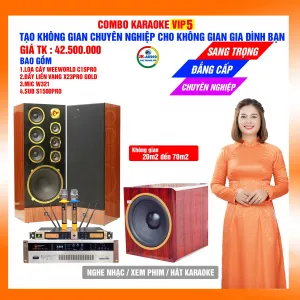 Dàn karaoke gia đình loa C15 Pro giá 42,5 triệu đồng