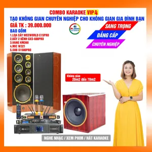 Dàn karaoke gia đình loa C15 Pro giá 39 triệu đồng