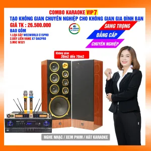 Dàn karaoke gia đình loa C15 Pro giá 26,5 triệu