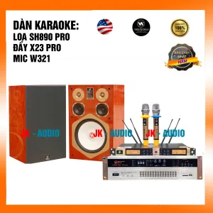 Dàn karaoke gia đình loa Weeworld SH890 Pro 34 triệu