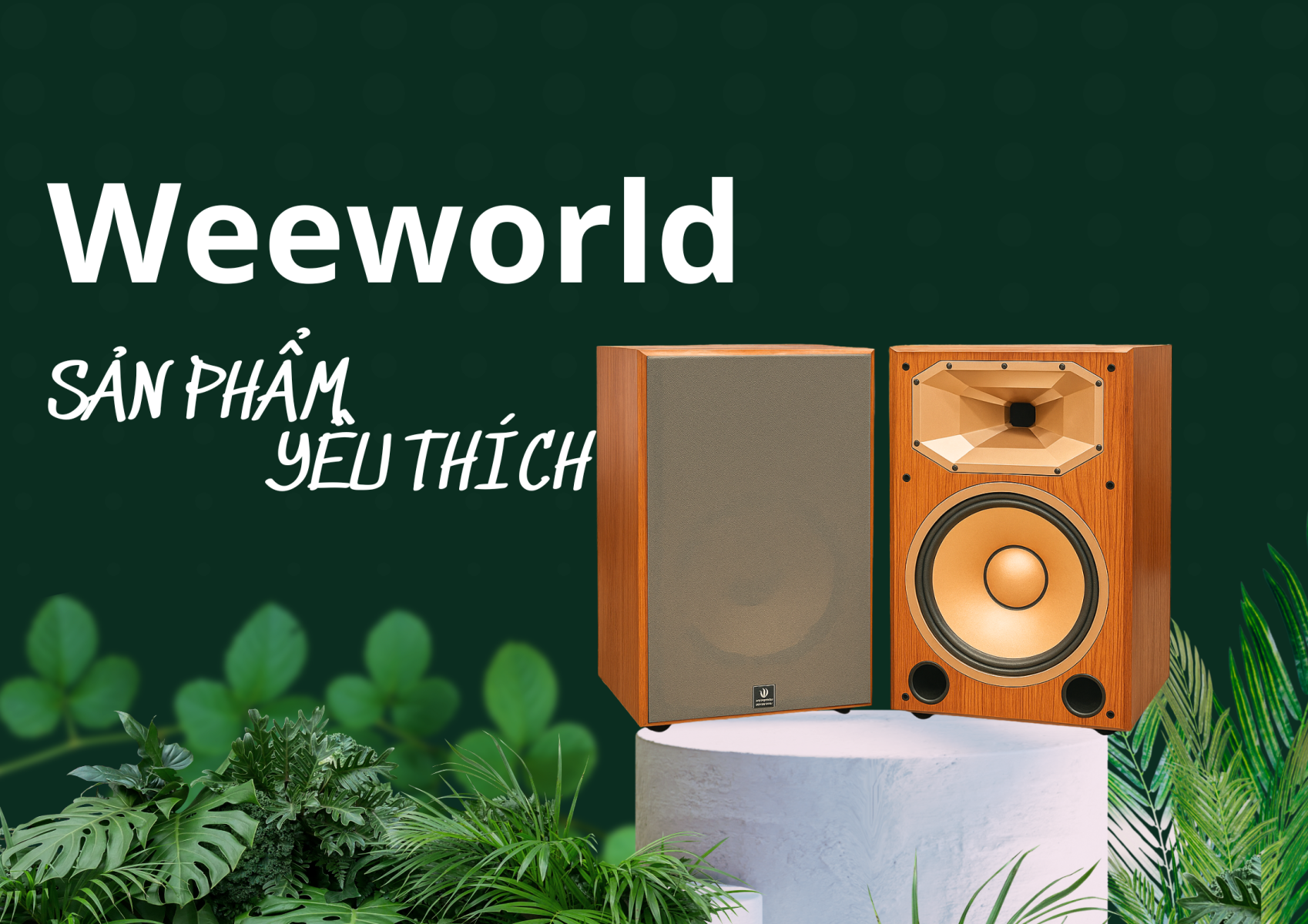 Vì Sao Thương Hiệu Weeworld Được Nhiều Người Tin Dùng Trong Thị Trường ...